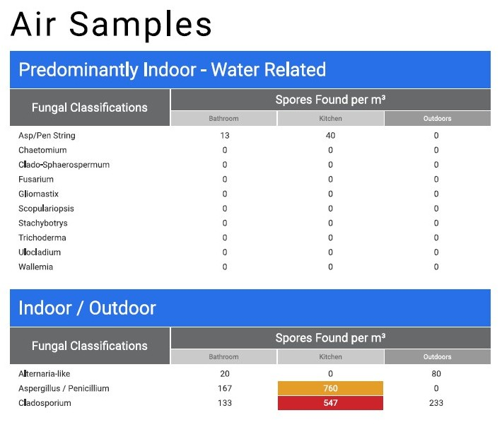 Mold Test Results in Saginaw Michigan