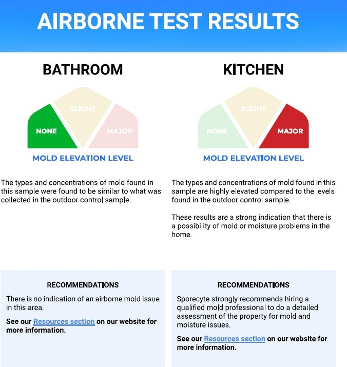 Mold Test Results in Grand Blanc Michigan